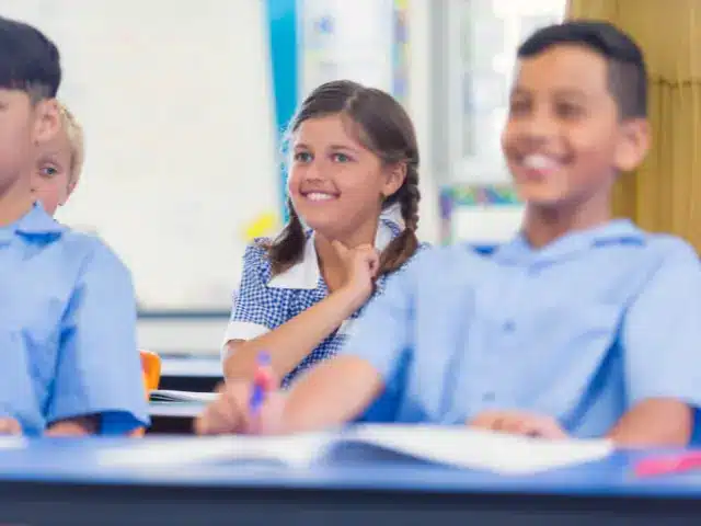 What is NAPLAN_Australian Primary School Students